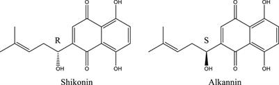 Research Progress on Structure and Anti-Gynecological Malignant Tumor of Shikonin